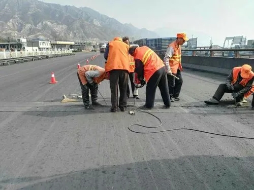 九合垸原种场道路桥梁病害治理